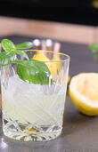 Virgin Gin Basil Smash