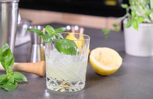 Virgin Gin Basil Smash